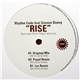 Rhythm Code Feat Simone Denny - Rise